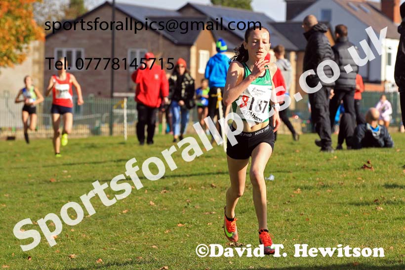 Girls under-15s 2022 Northern Cross Country Relays, Graves Park, Sheffield. Photo: David T. Hewitson/Sports for All Pics